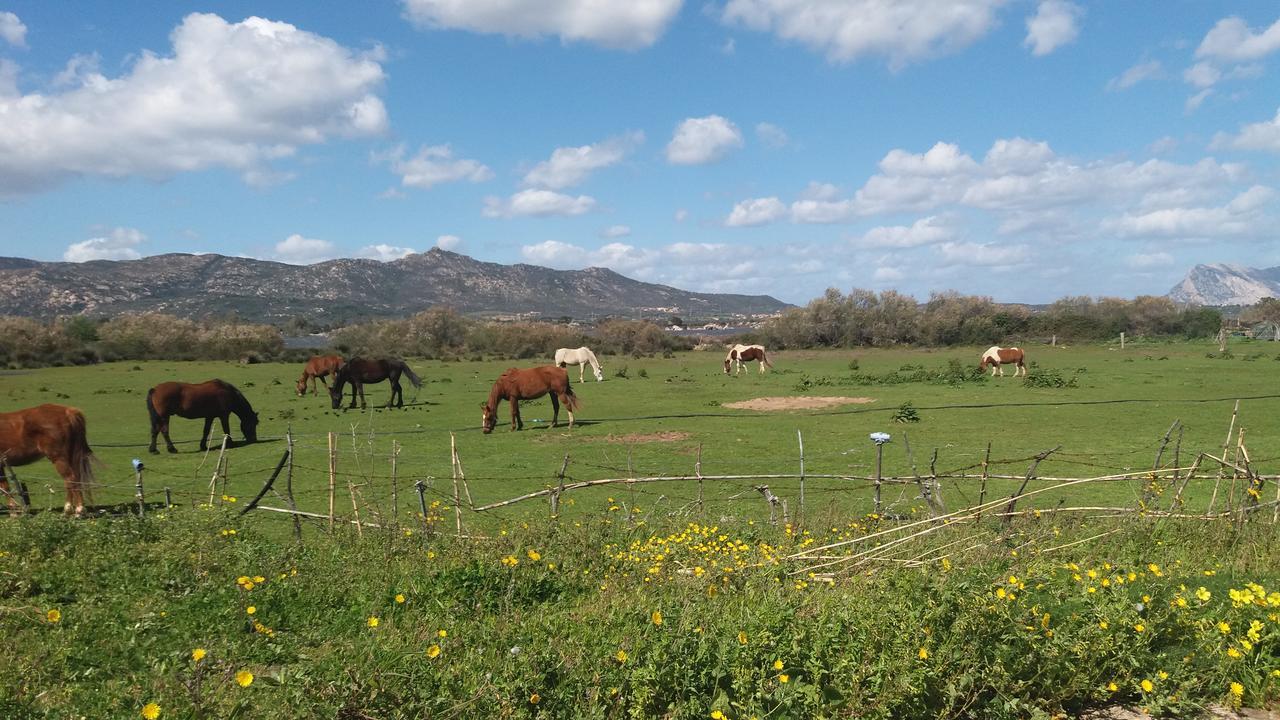Settimo Cielo Bed and Breakfast San Teodoro  Esterno foto